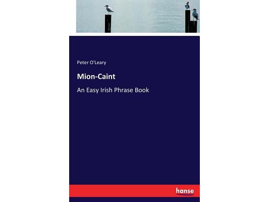 Mion-Caint: An Easy Irish Phrase Book