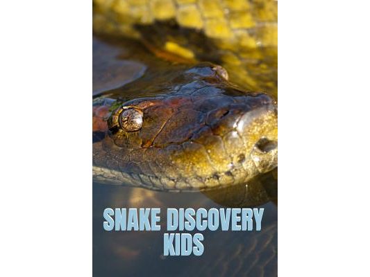 Snake Discovery Kids: Jungle Stories Of Mysterious & Dangerous Snakes With Funny Pictures, Photos & Memes Of Snakes For Children