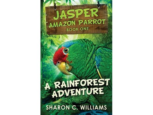 A Rainforest Adventure