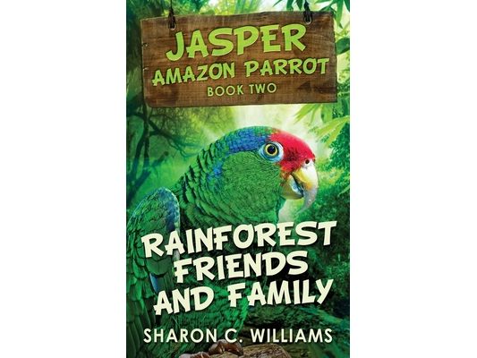 Rainforest Friends and Family