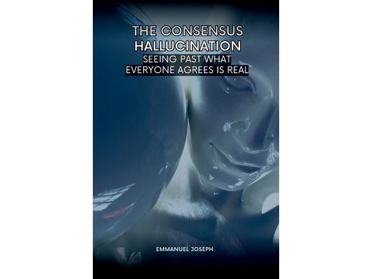 The Consensus Hallucination, Seeing Past What Everyone Agrees Is Real
