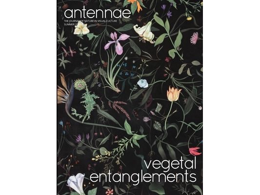 Antennae #51 Vegetal Entanglements #1