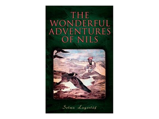 The Wonderful Adventures of Nils