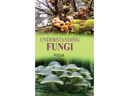 Understanding Fungi