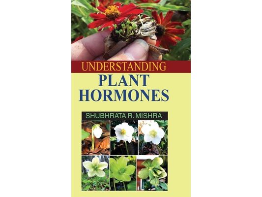Understanding Plant Hormones