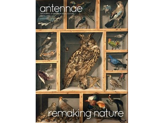 Antennae #50 Remaking Nature