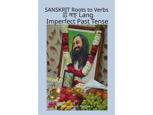 Sanskrit Roots to Verbs II Lang Imperfect Past Tense