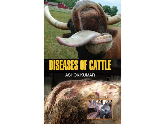 Diseases of Cattle