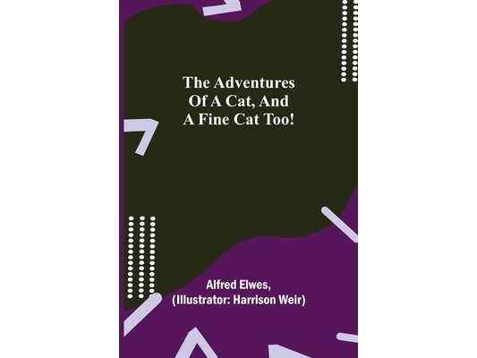 The Adventures of a Cat, and a Fine Cat Too!