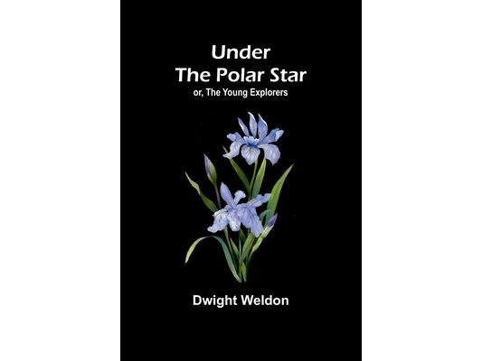 Under the Polar Star; or, The Young Explorers