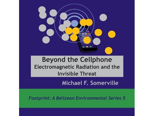 Beyond the Cellphone: Electromagnetic Radiation and the Invisible Threat