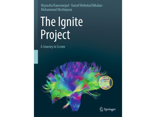 The Ignite Project: A Journey in Scrum