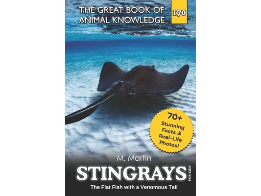 Stingrays for Kids: The Flat Fish with a Venomous Tail