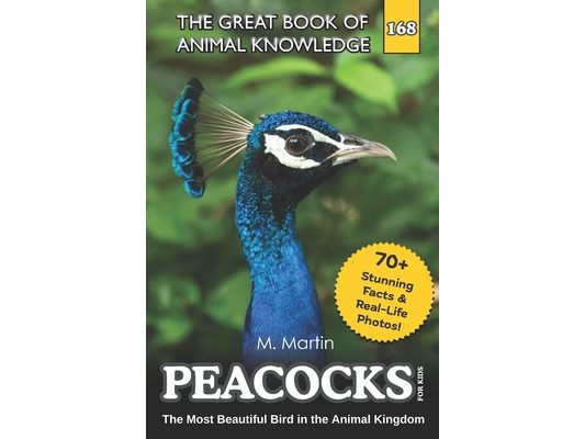Peacocks for Kids: The Most Beautiful Bird in the Animal Kingdom