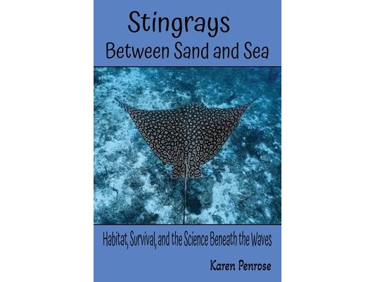 Stingrays, Between Sand and Sea: Habitat, Survival, and the Science Beneath the Waves: Marine Animals/Seafloor Creatures/Ocean Ecosystem/Coral Reefs/O
