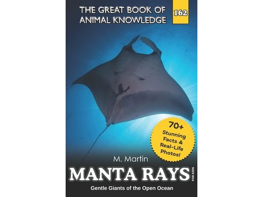 Manta Rays for Kids: Gentle Giants of the Open Ocean