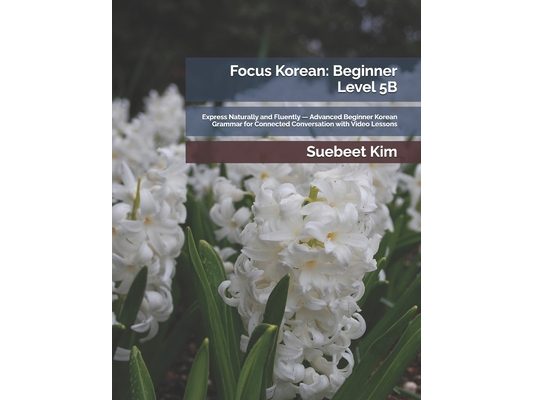 Focus Korean: Beginner Level 5B: Express Naturally and Fluently - Advanced Beginner Korean Grammar for Connected Conversation with Video Lessons