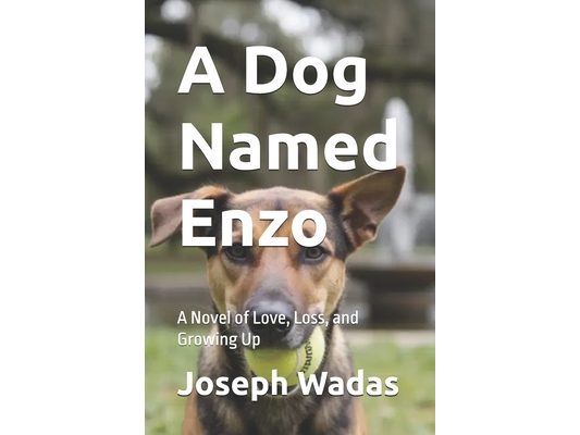 A Dog Named Enzo: A Novel of Love, Loss, and Growing Up