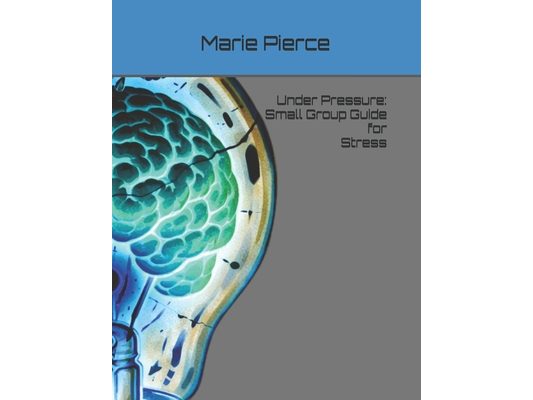 Under Pressure: Junior High Small Group Guide for Stress