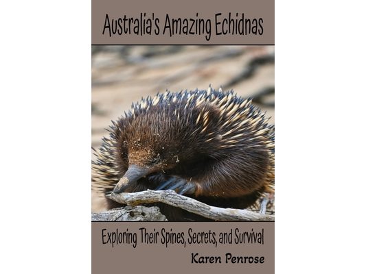 Australia's Amazing Echidnas: Exploring Their Spines, Secrets, and Survival: Facts For Kids/Australian Animals/Outback Wildlife/Monotremes/Egg-Laying