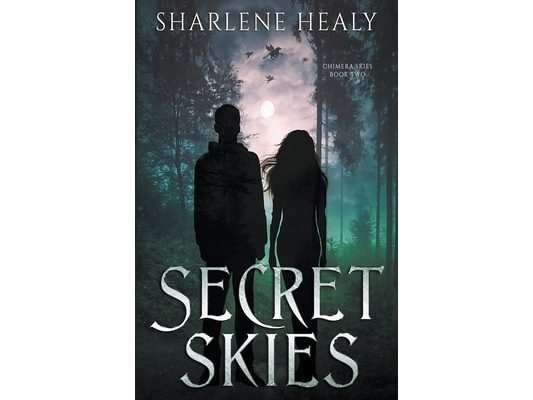 Secret Skies