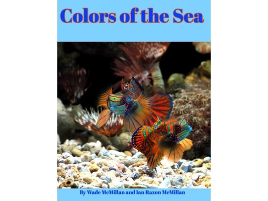 Colors of the Sea