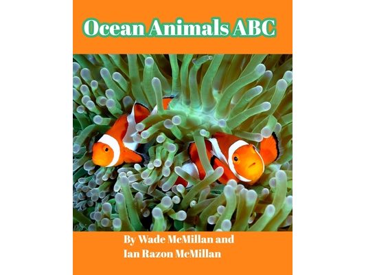 Ocean Animals ABC