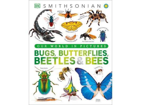 Bugs, Butterflies, Beetles and Bees: A Visual Bug and Insect Encyclopedia for Kids