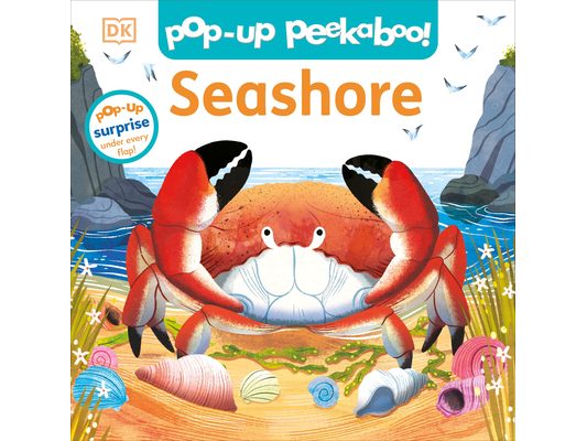 Pop-Up Peekaboo! Seashore: A Beachy Surprise Under Every Flap!