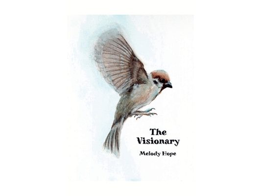 The Visionary