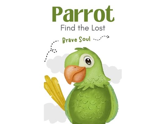 Parrot Find the Lost
