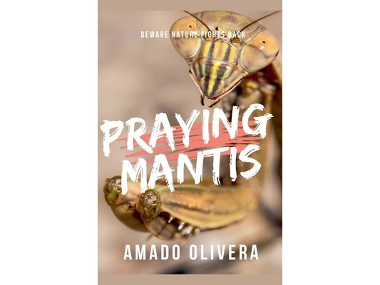 Praying Mantis