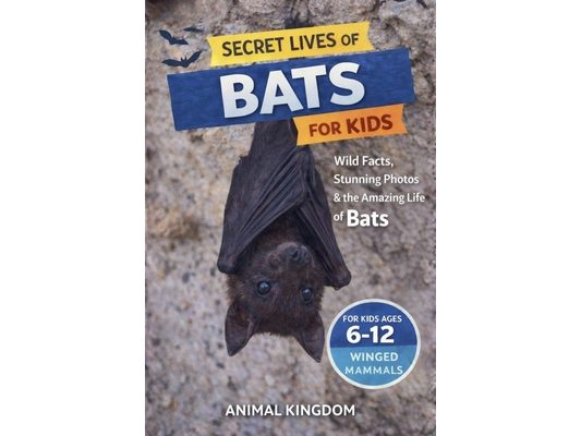 Secret Lives of Bats for Kids