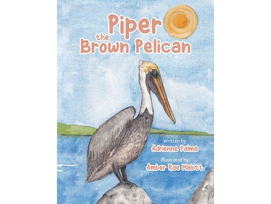 Piper the Brown Pelican