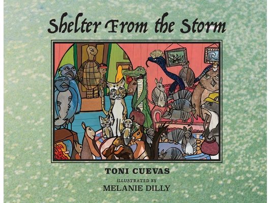 Shelter From the Storm