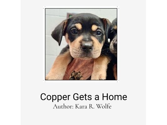 Copper Gets a Home: A Decodable Text
