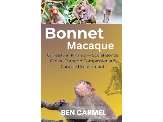 Bonnet Macaque: Curiosity in Kinship - Social Bonds Grown Through Compassionate Care and Enrichment