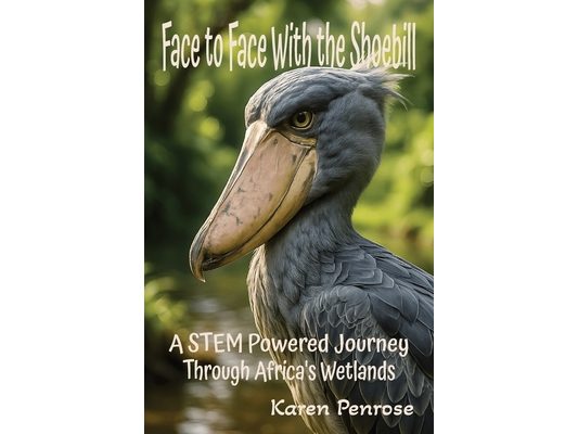Face to Face With the Shoebill: A STEM Powered Journey Through Africa's Wetlands: Facts for Kids/African Birds/Adaptations/Birds With Weird Beaks/Ecos