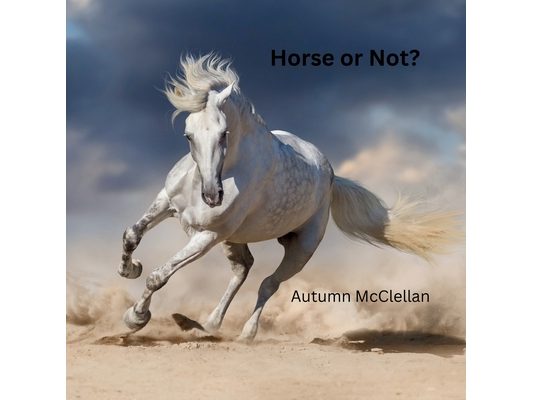 Horse or Not?