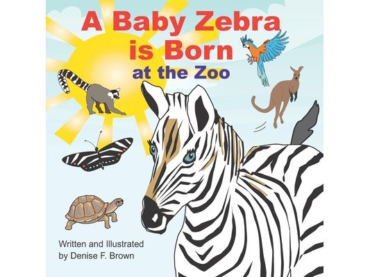 A Baby Zebra is Born at the Zoo