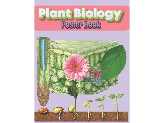 Plant Biology Poster Book: Clear Visual Charts for Structure, Reproduction, and Life Cycles, Help You Learn Faster and Remember More