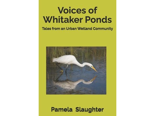 Voices of Whitaker Ponds: Tales from an Urban Wetland Community