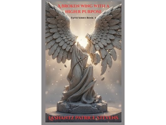 A Broken Wing with a Higher Purpose: Faith through the Storm Series -Book 1
