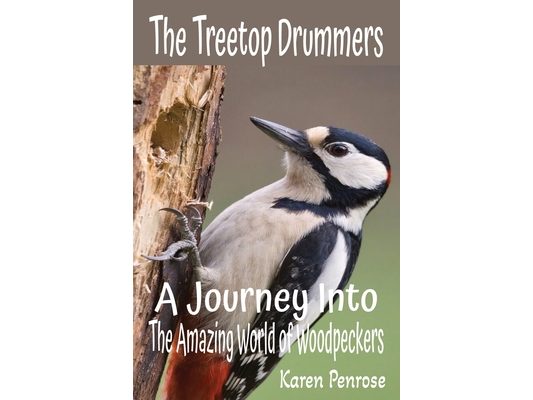 The Treetop Drummers: A Journey Into the Amazing World of Woodpeckers: Facts for Kids/Birdwatching/Woodpeckers of North America/Conservation/Forest Ec