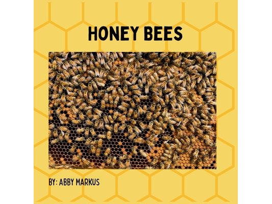 Honey Bees