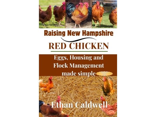 Raising New Hampshire red chicken: Egg, housing and flock Management made simple