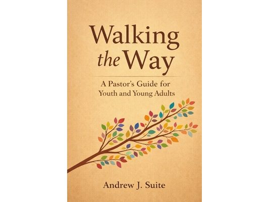 Walking the Way: A Pastor's Guide for Youth and Young Adults: A United Methodist Pastoral Companion for Youth and Young Adults: Faith, Identity, Doubt