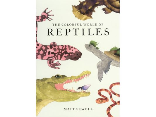 Colorful World of Reptiles