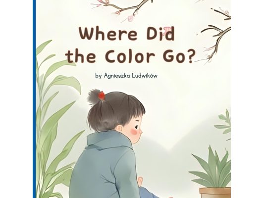Where Did the Colors Go?: A Heartwarming Book for Toddlers and Preschoolers