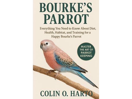 Bourke's Parrot: Everything You Need to Know About Diet, Health, Habitat, and Training for a Happy Bourke's Parrot